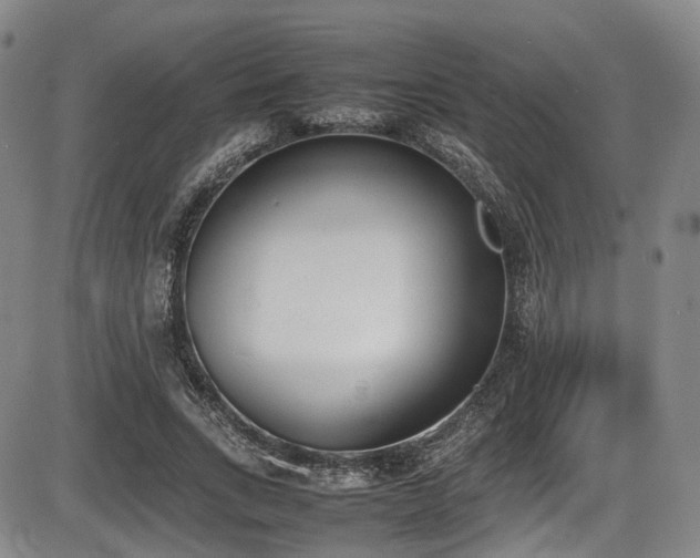 X0000086340735200703301255