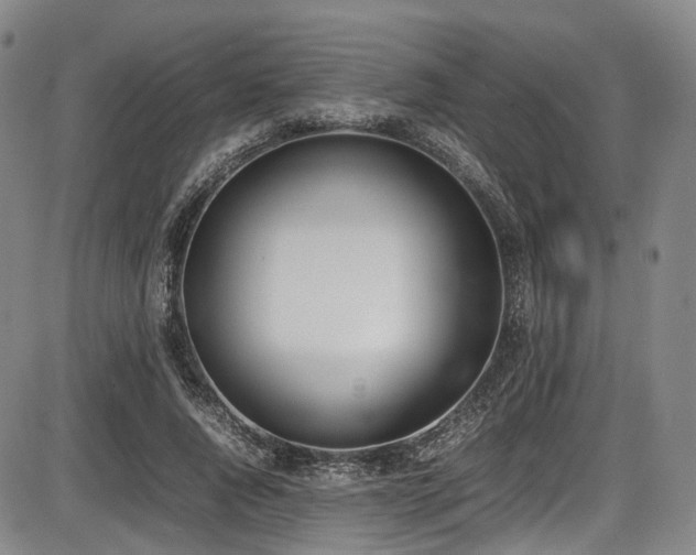 X0000086340736200703301255