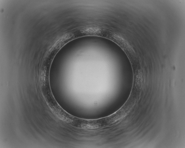 X0000086340739200703301255