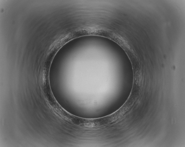 X0000086340740200703301255