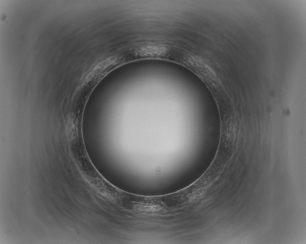 X0000086340743200703301255
