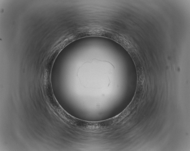 X0000086340744200703301255