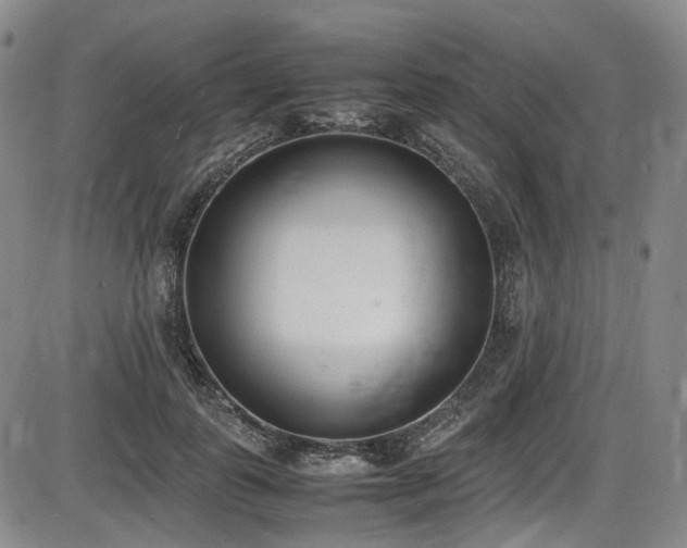 X0000086340747200703301255
