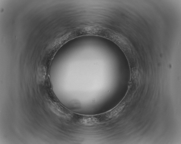 X0000086340752200703301255