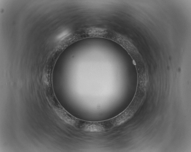 X0000086340755200703301255
