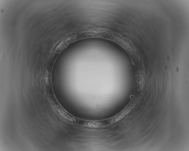 X0000086340758200703301255