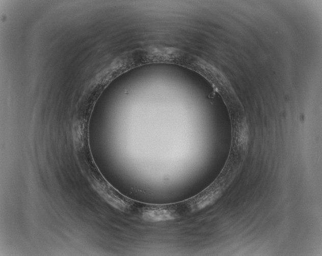 X0000086340759200703301255