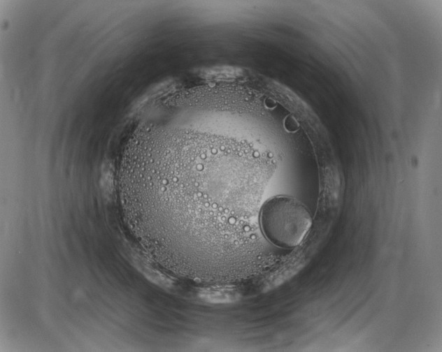X0000086340761200703301255
