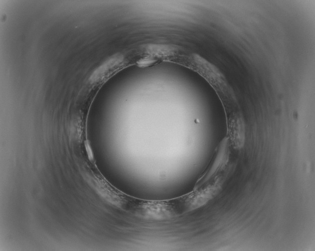 X0000086340762200703301255