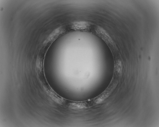 X0000086340763200703301255