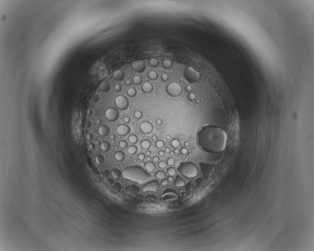 X0000086340765200703301255