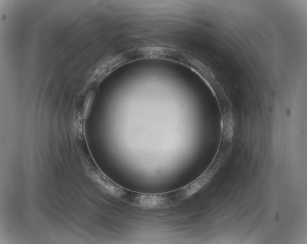 X0000086340766200703301255