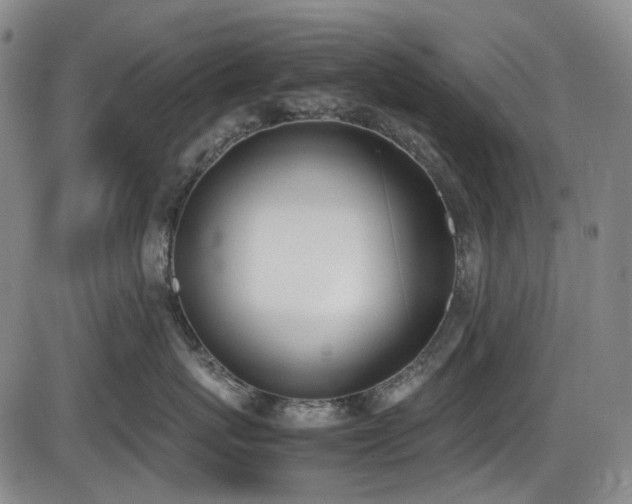 X0000086340767200703301255