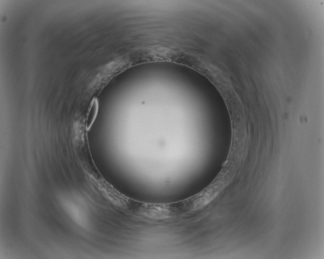 X0000086340768200703301255