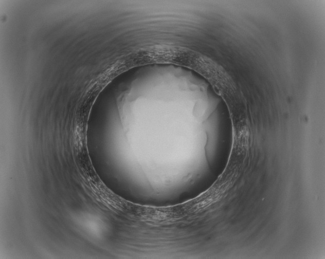 X0000086340772200703301255