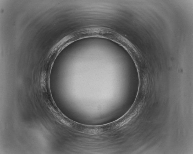 X0000086340778200703301254