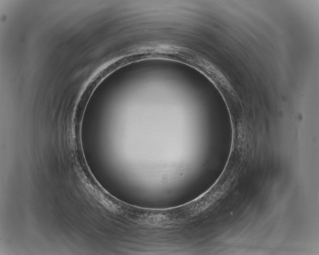 X0000086340784200703301254
