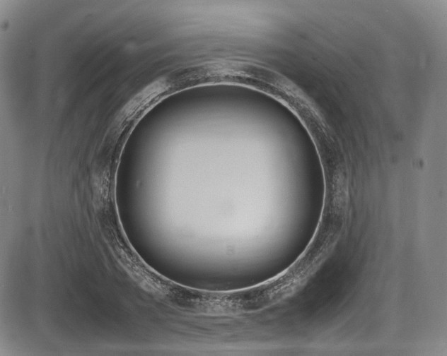 X0000086340785200703301254