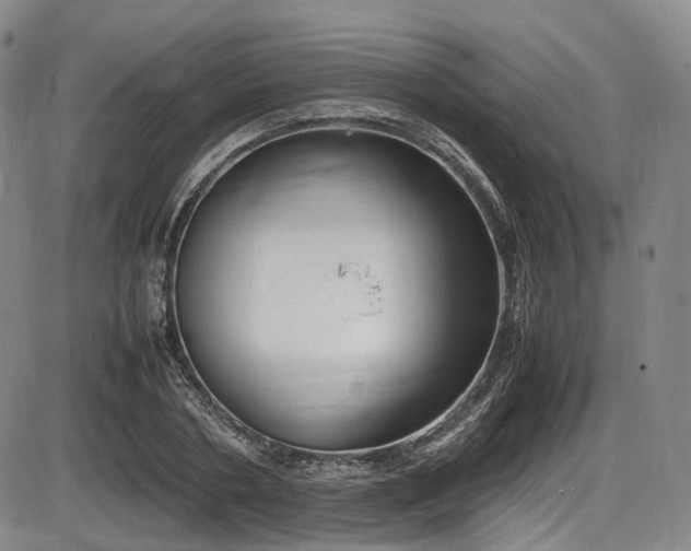 X0000086340786200703301254