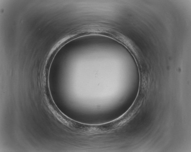 X0000086340787200703301254