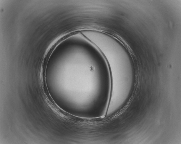 X0000086340788200703301254
