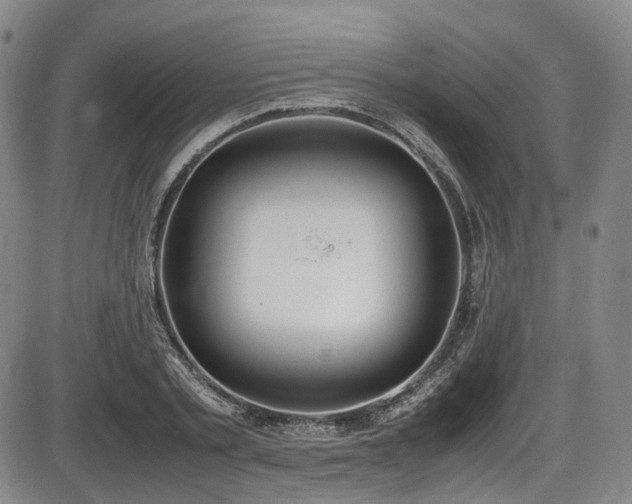 X0000086340789200703301254
