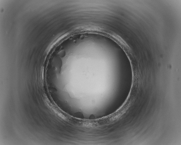 X0000086340790200703301254