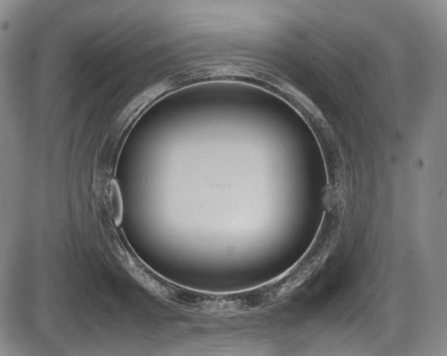 X0000086340793200703301254