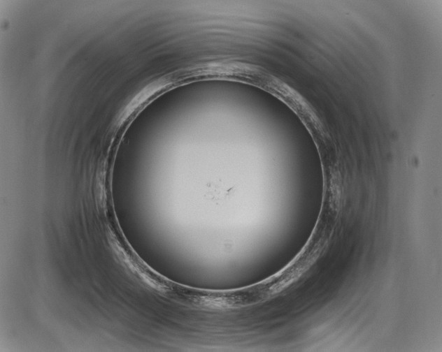 X0000086340794200703301254