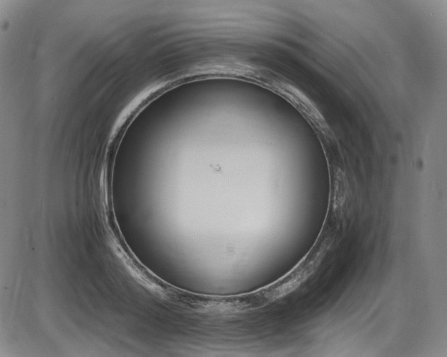X0000086340796200703301254