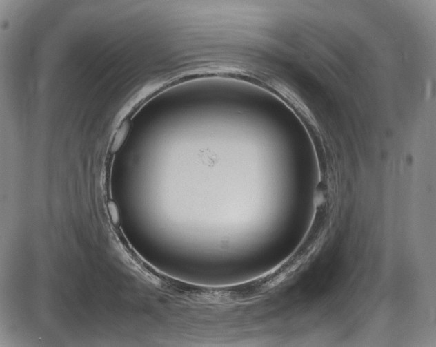 X0000086340797200703301254