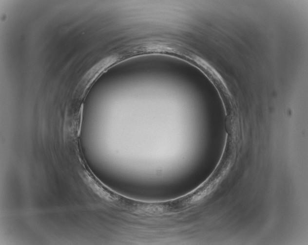 X0000086340801200703301254
