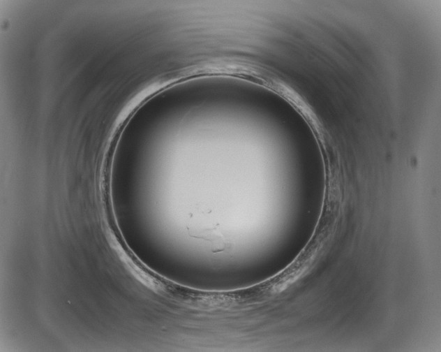 X0000086340803200703301254