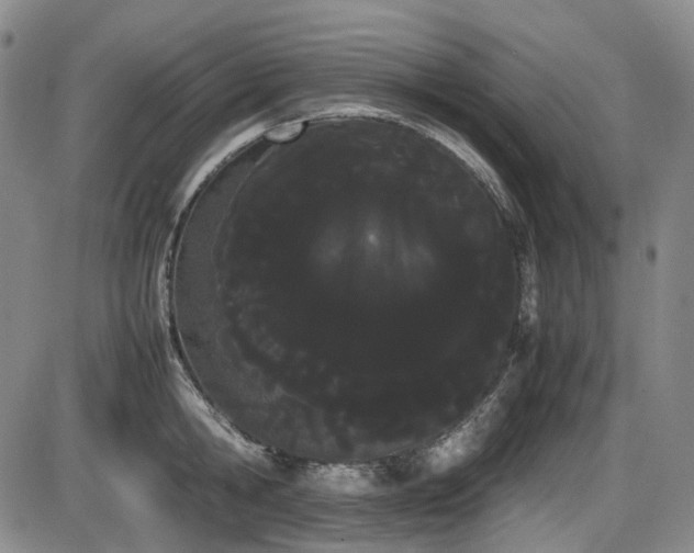 X0000086340806200703301254