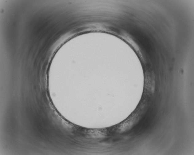 X0000086340807200703301254