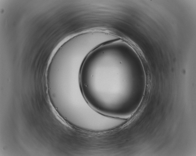 X0000086340808200703301254
