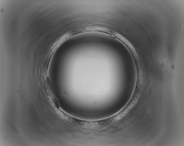 X0000086340809200703301254