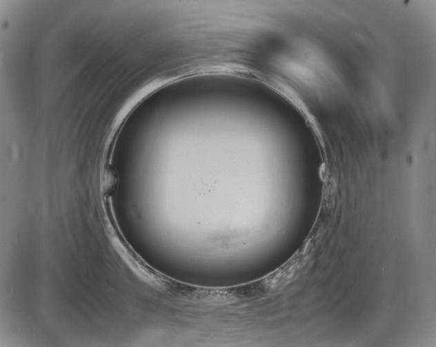 X0000086340811200703301254