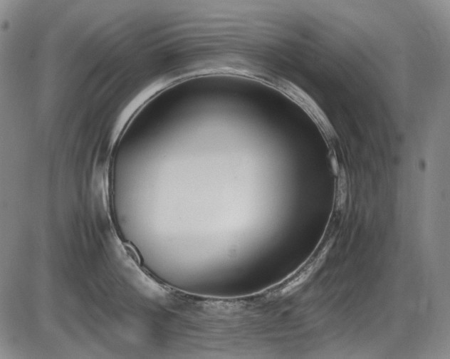 X0000086340812200703301254