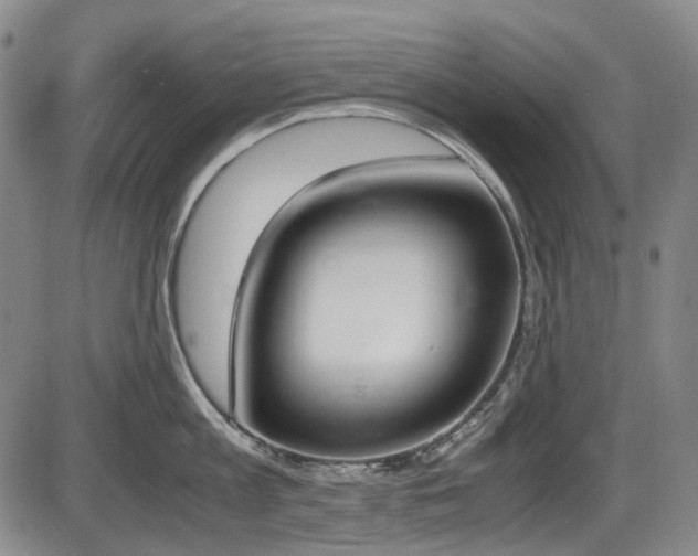 X0000086340813200703301254