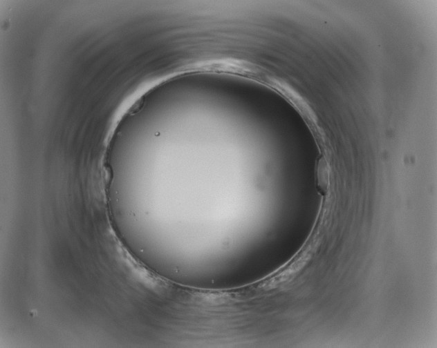 X0000086340816200703301254