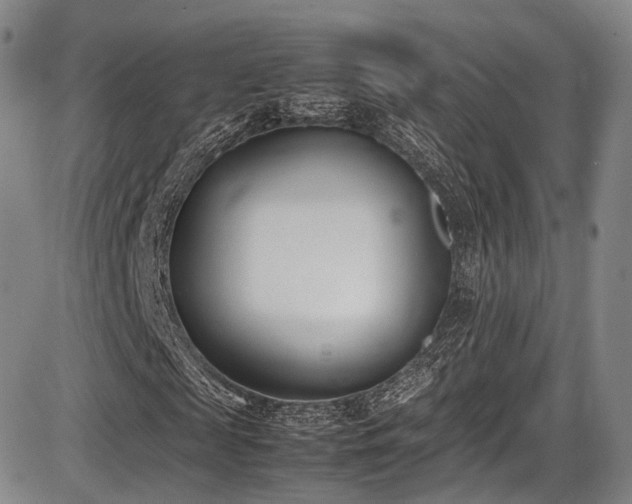 X0000086340817200703301253