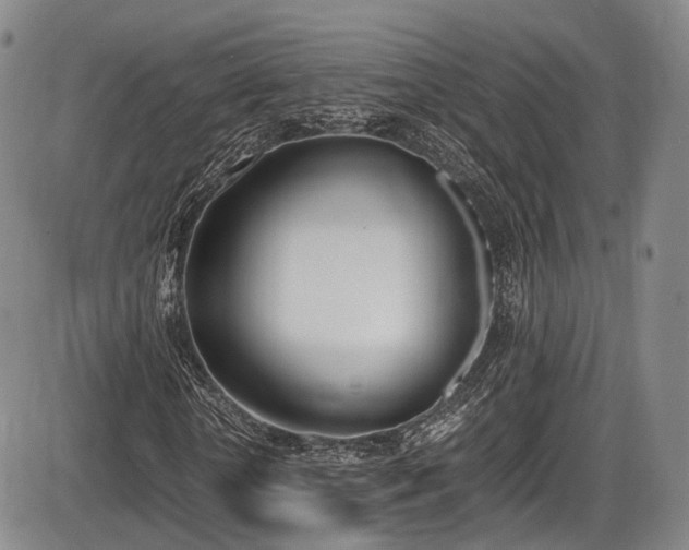 X0000086340818200703301253