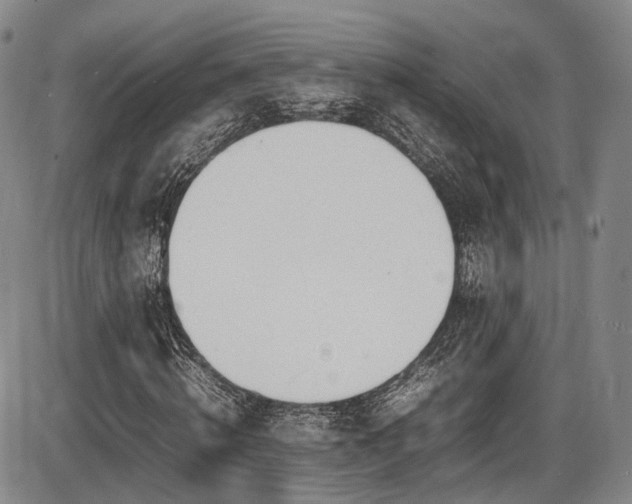 X0000086340820200703301253