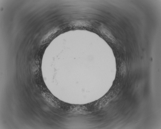 X0000086340824200703301253