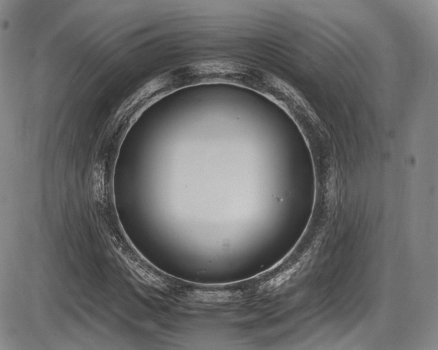 X0000086340825200703301253