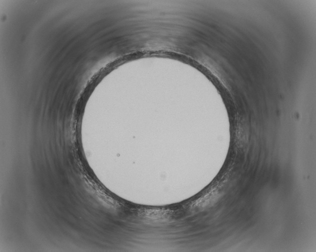 X0000086340832200703301253