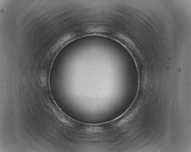X0000086340833200703301253