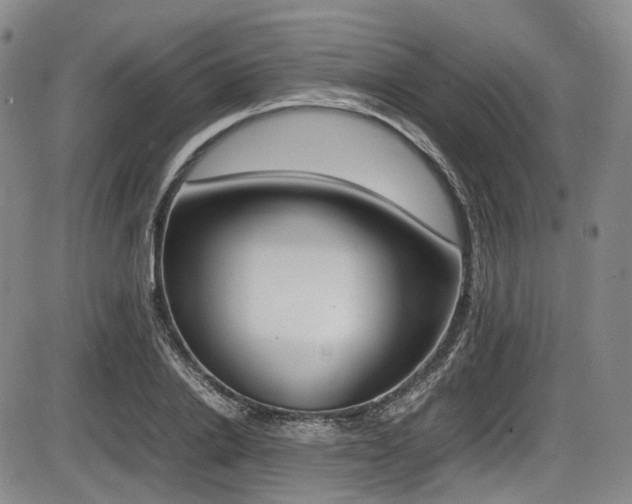 X0000086340838200703301253