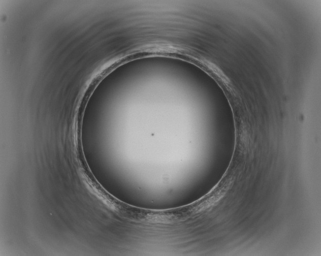 X0000086340840200703301253